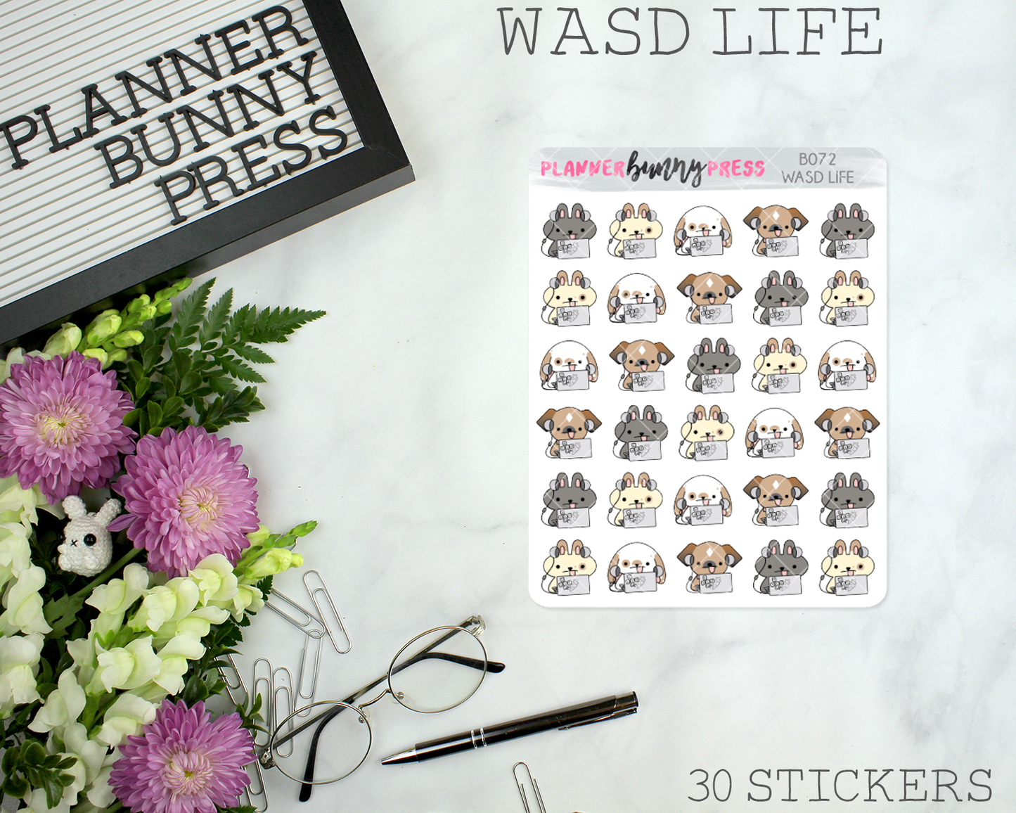 WASD Life | LAST CHANCE