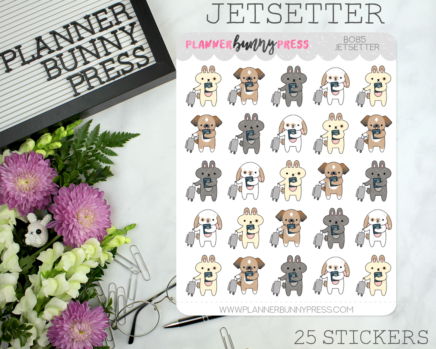 Jetsetter | LAST CHANCE