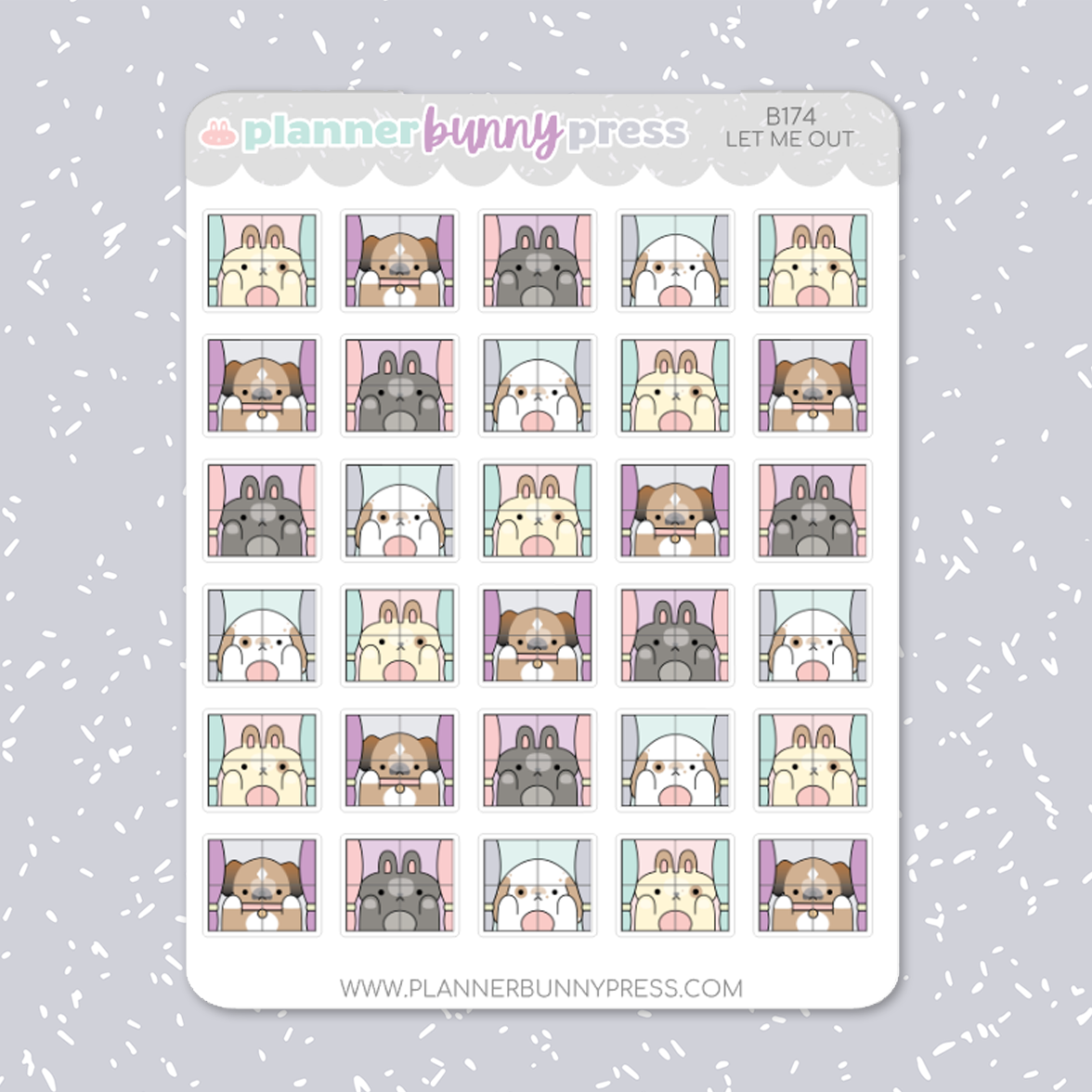 Let Me Out | LAST CHANCE