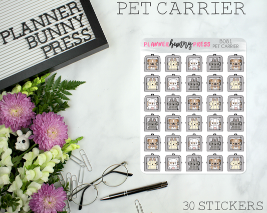 Pet Carrier | LAST CHANCE